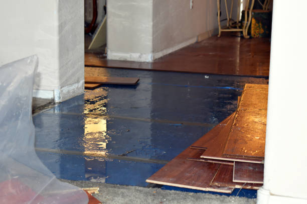 Professional Basement Flood Cleanup technician working in Westland, MI