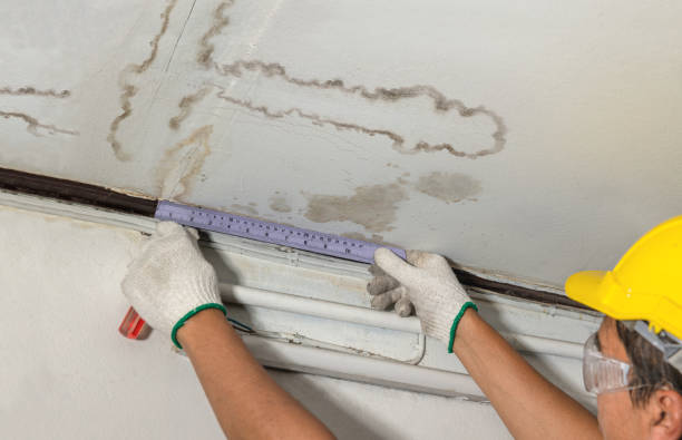 Reliable Basement Flood Cleanup contractor in Westland, MI by Aqua Guard Water Damage